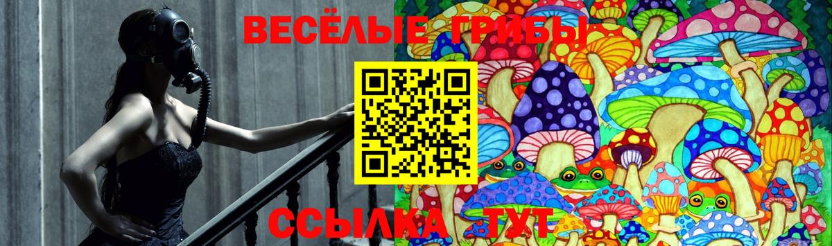 Галлюциногенные грибы ЛСД Гагарин