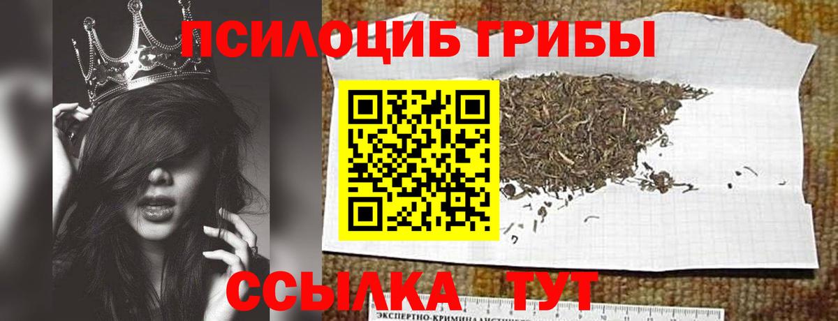 Гагарин  Псилоцибиновые грибы MAGIC MUSHROOMS  Вход с VPN 